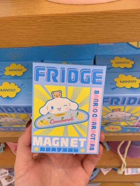 Sanrio 2-in-1 Magnet and Clip Blind Box