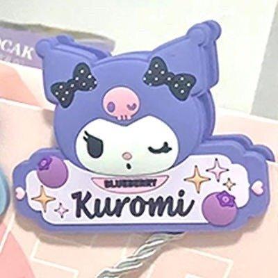 Sanrio 2-in-1 Magnet and Clip Blind Box
