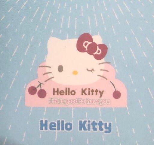 Sanrio 2-in-1 Magnet and Clip Blind Box